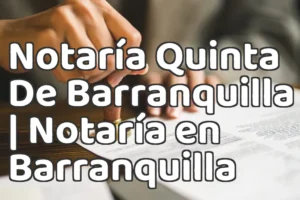 Notaría Quinta De Barranquilla | Notaría en Barranquilla